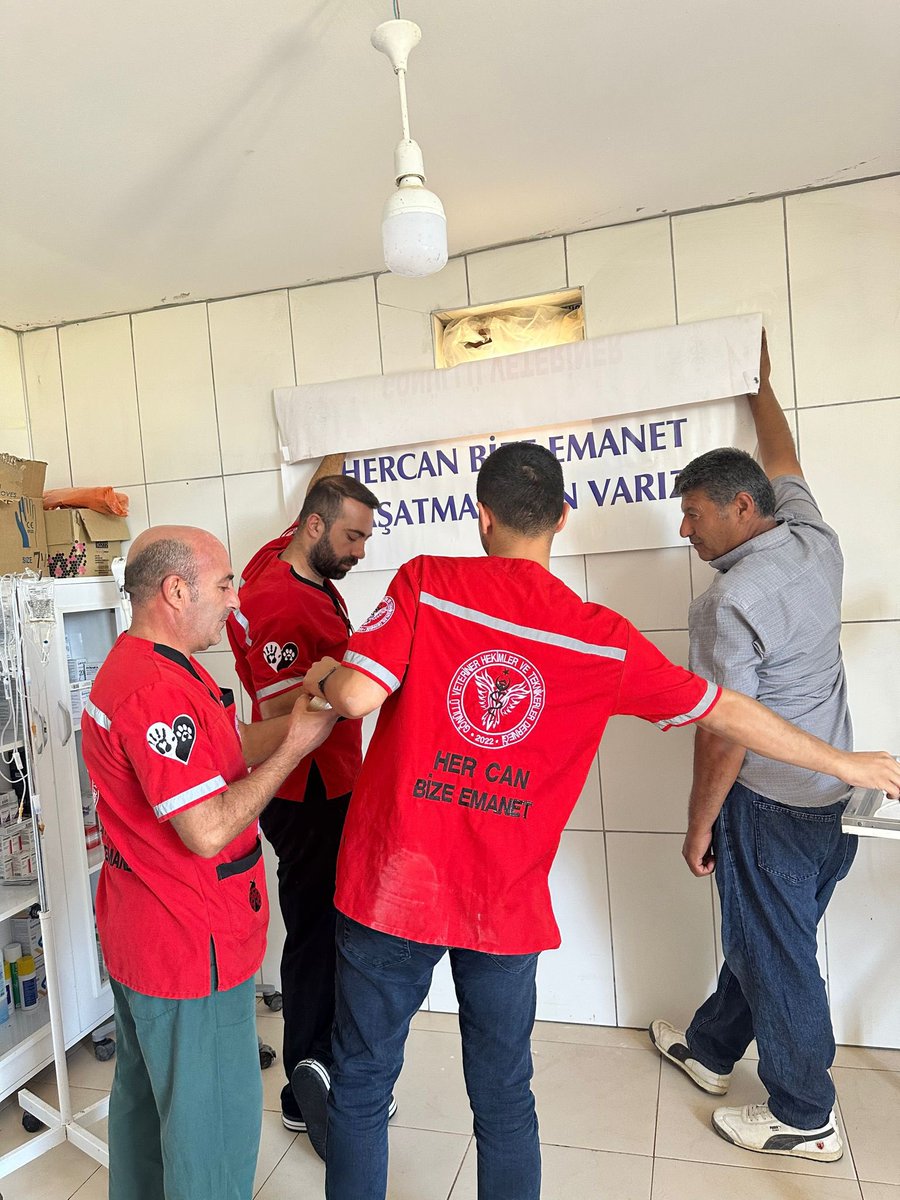 gonulluvetder's tweet photo. “Sağlıklı hayvanlar, güvenli sokaklar, mutlu insanlar !!” Sloganıyla çıktığımız bu yolda bu hafta sonu Elbistan daydık! İki günde 10 kedi 200 köpek kısırlaştırmasını gerçekleştirdik. Bu çalışma da bizimle hareket eden @HaydikoA ya teşekkür ediyoruz 😊❤️ https://t.co/hfCmAYx3tr