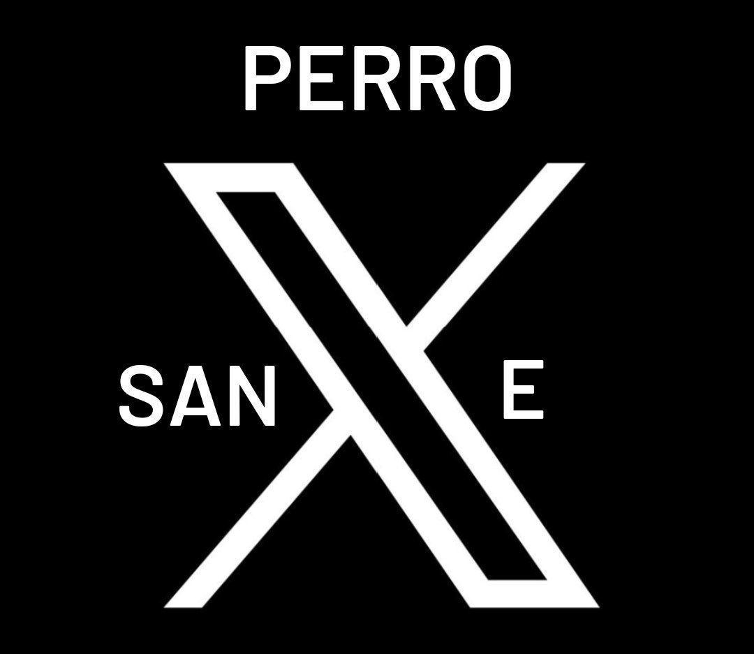 TVSALSEO's tweet photo. si la X es por sanxe ahora me gusta más https://t.co/6UI7yBxlF1
