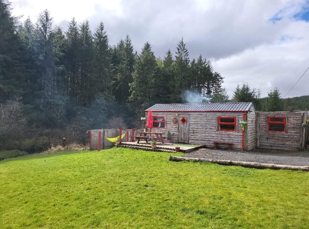 Dermot Mooney tweet media