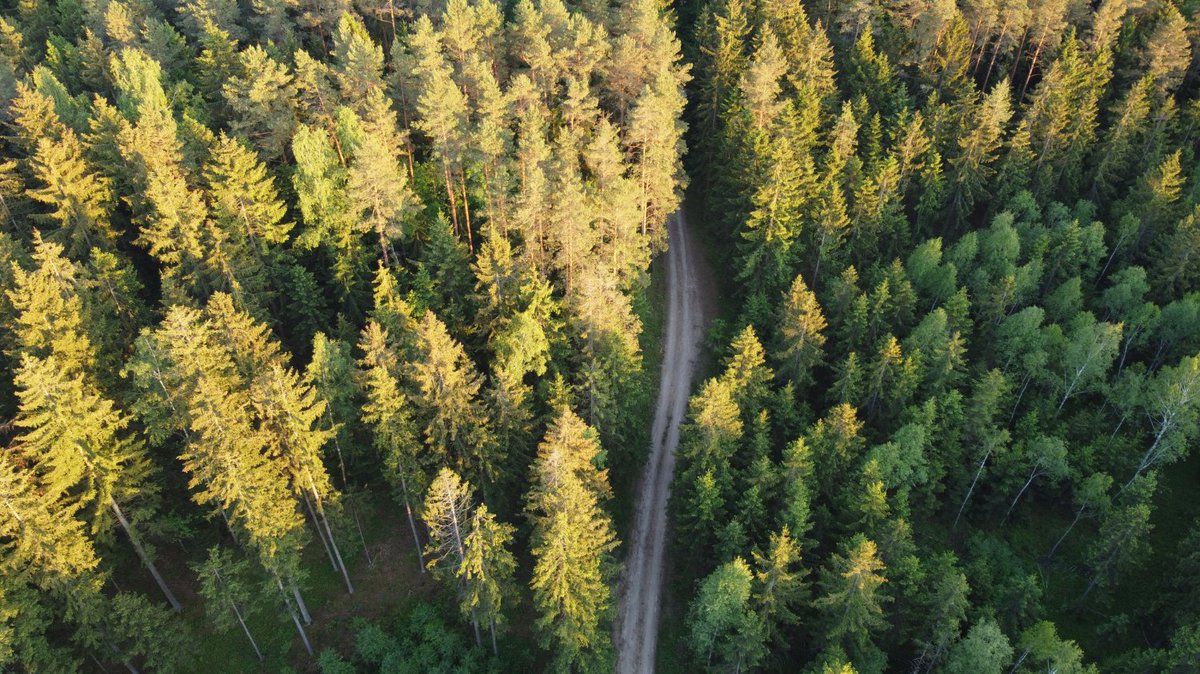 vocealta_it's tweet photo. #Climatechange: nasce il progetto “#RemoTrees” di Fem

https://t.co/Q1BWxgZ57B https://t.co/w6zthTRti8