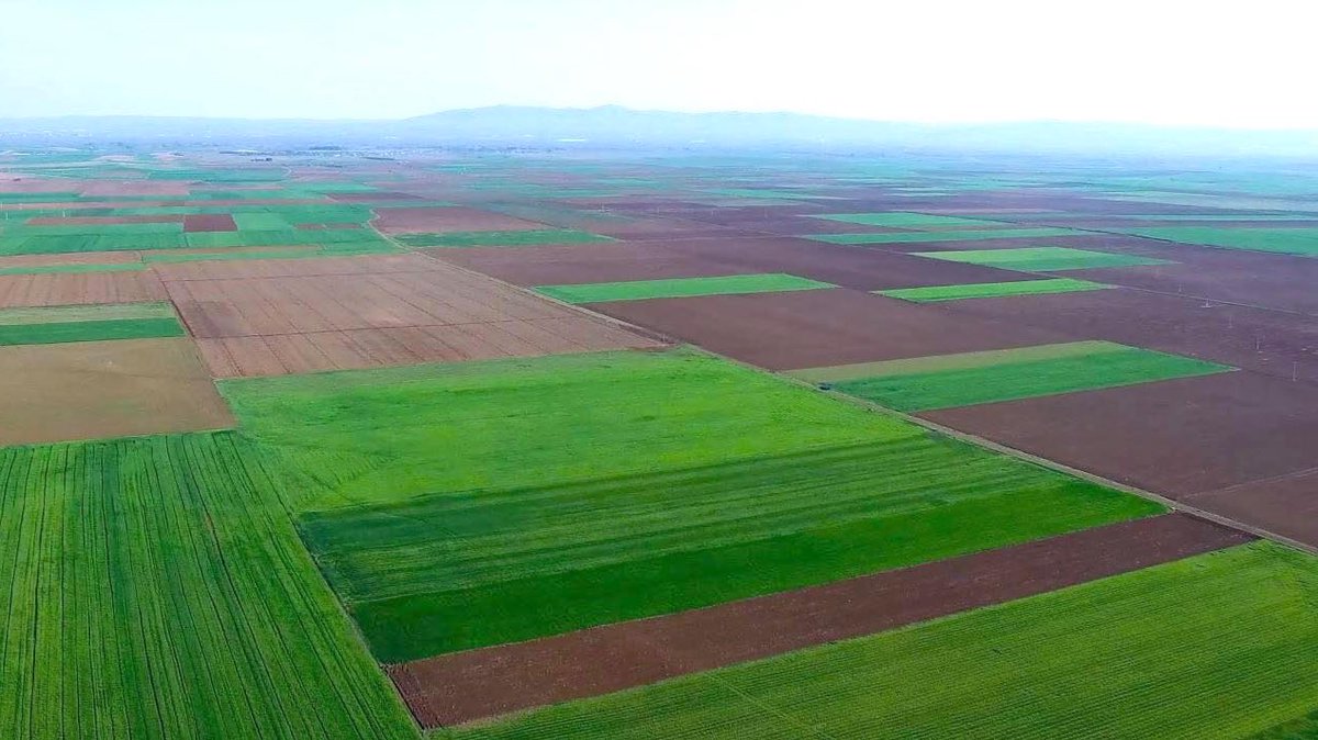 Y_Buyukersen's tweet photo. Sevgili Eskişehirliler, Anadolu Üniversitemiz tarafından çalışmaları yürütülen Ulusal Raylı Sistemler Araştırma Merkezi (URAYSİM) Projesi kapsamında gözbebeğimiz Alpu Ovası'nda 1. sınıf tarım arazilerinin kamulaştırma çalışmalarına yönelik açtığımız davayı da kazandık.

Ekonomik olarak zaten zor günler geçiren çiftçimizin elinden 1. derece tarım arazilerinin alınmasına sessiz kalamazdık. Bu çerçevede Eskişehir 1. İdare Mahkemesinin 16 Eylül 2022 tarihinde istinaf yolu açık olmak üzere iptal kararı, Bursa Bölge İdare Mahkemesinde 6 Temmuz 2023 tarihinde sonuçlanmış ve temyizi olmamak üzere istinaf başvurularının reddi yönünde karara bağlandı.

Alpulu çiftçimiz başta olmak üzere bu bereketli topraklardan geçimini sağlayan ve sofrasına ürün gelen tüm yurttaşlarımızın gözü aydın.

Aklın, bilimin, sanayinin ve gelişimin yanında olduğumuz kadar toprağın, üretimin ve üreticinin de yanında olmaya devam edeceğiz.

@eskisehirbb