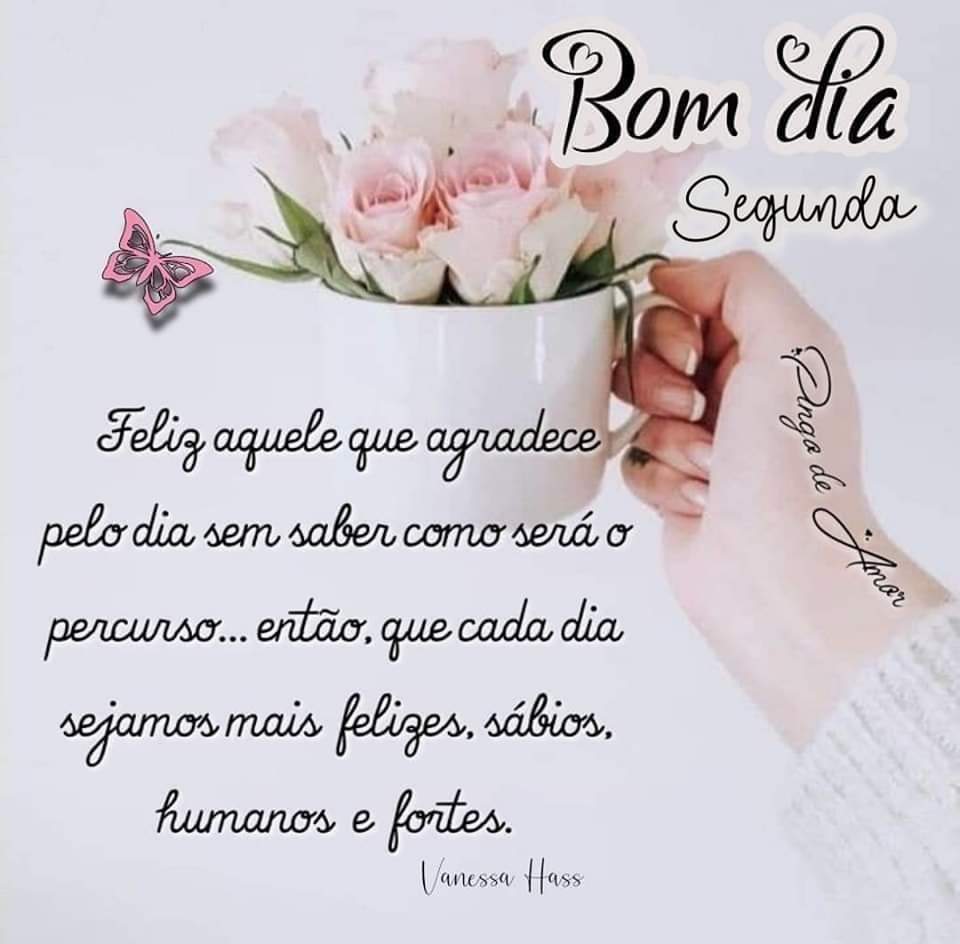 ➰️Bom dia ➰️🫶🩷🌸🌷🍂 'Use a gratidão como um manto. E esta irá alimentar cada canto da sua vida. ' - Rumi-