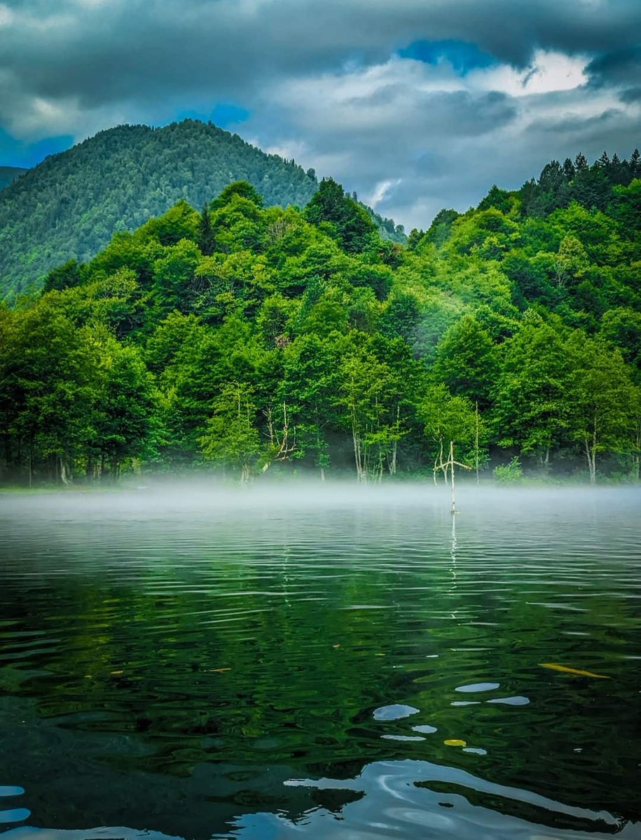 #nature 
#NatureBeauty