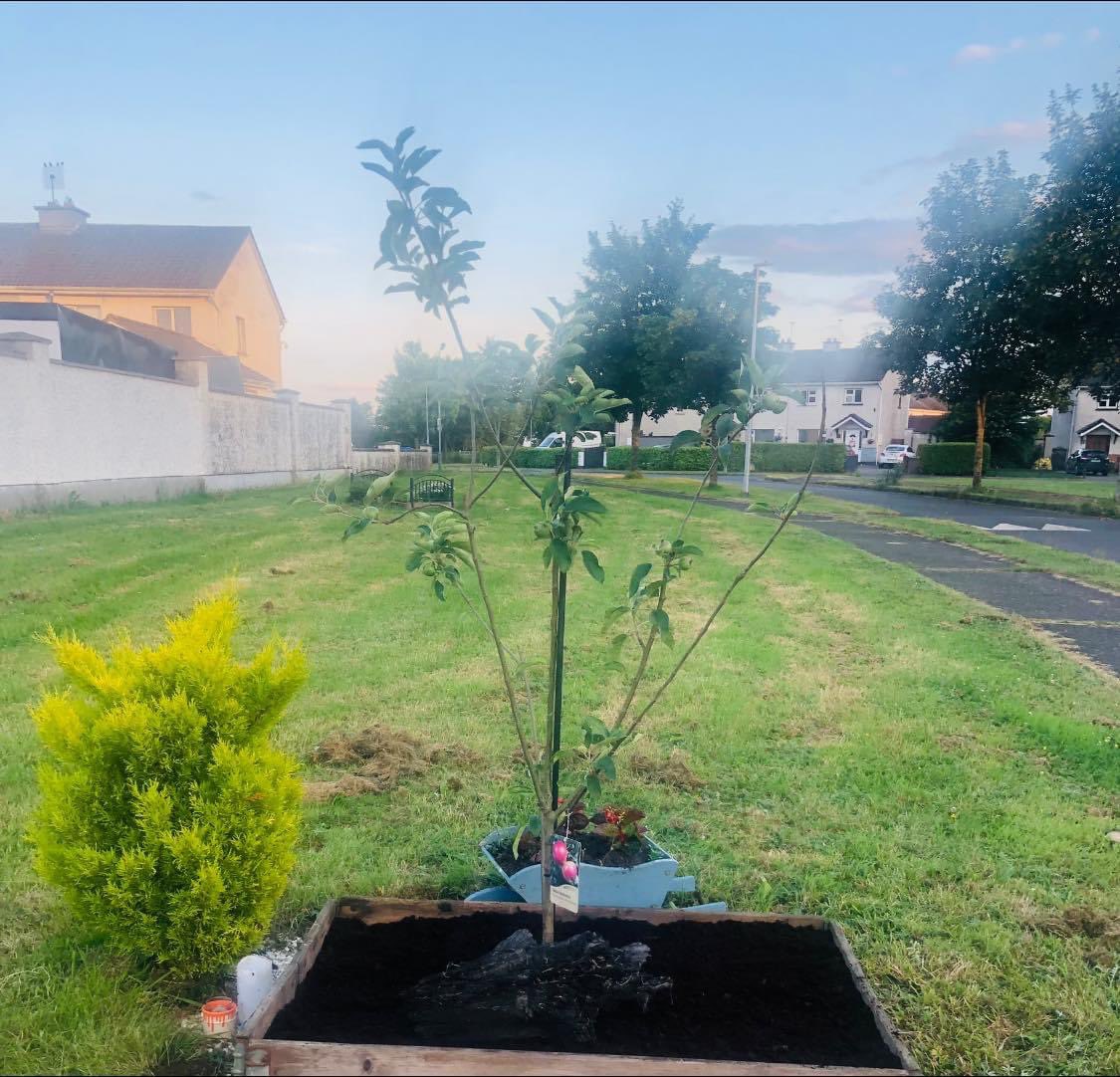 AshVillGroup's tweet photo. 🌻🌼☀️ https://t.co/vnndQIUbia
