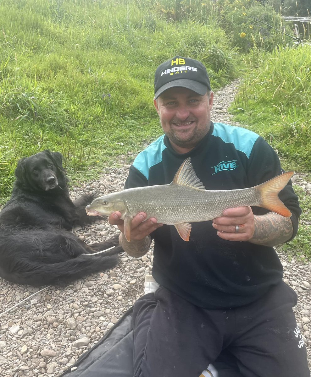 HindersFishing's tweet photo. Fished the wonderful river Wye but only for couple of hours. I had a little beautiful conditioned barbel & some lovely chub all caught on C-food hookers & Barbel Bomb ground bait rammed with pellets!
Mark
#cfood #barbelbomb https://t.co/4HACcWuEKA