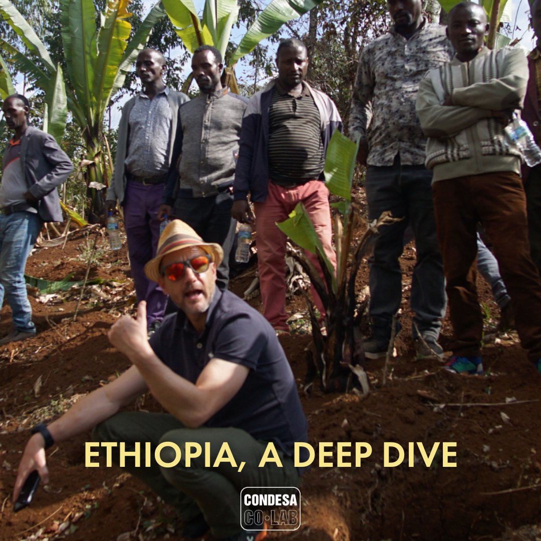 Condesa Co. Lab tweet media