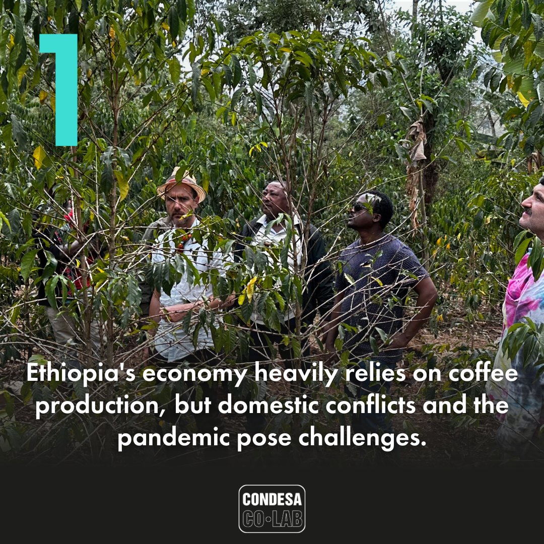 Condesa Co. Lab tweet media