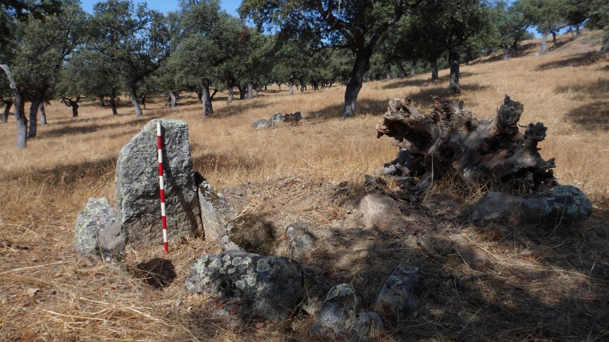 Se acerca la lluvia de Perseidas y en #VillanuevaDeCórdoba tienen la ruta perfecta para ver las ✨. La I RUTA ARQUEOASTRONÓMICA DE LA COMARCA DE LOS PEDROCHES 🌳
Un recorrido por la arqueoastronomía, biodiversidad y etnografía en las dehesas de Los Pedroches.
<a href="/TurismoJarote/">Turismo Jarote</a>