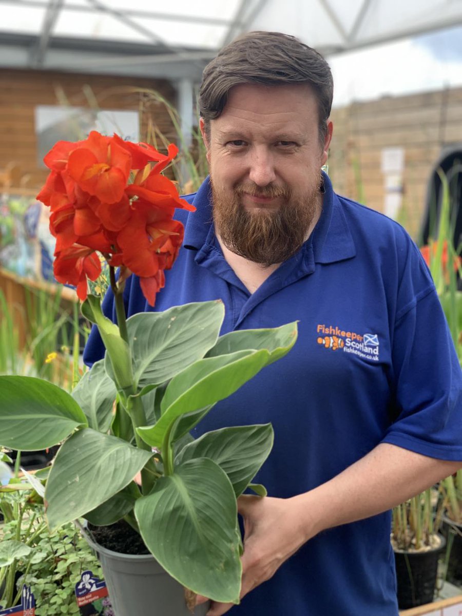 Who needs a bouquet if you can have these amazing flowers for the garden!? 🌺

We have plenty wonderful pond plants in stock including:
🌱 Oxygenators
🌱 Marginal Plants
🌱 Floating Pond Plants
🌱 Lilies