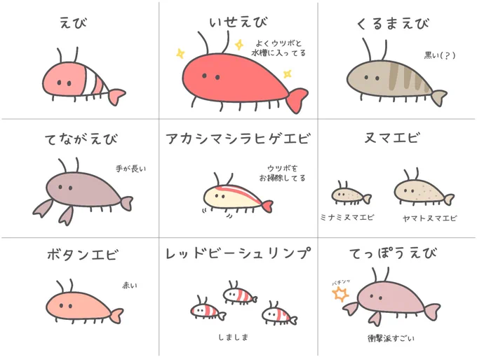 うろ覚ええび