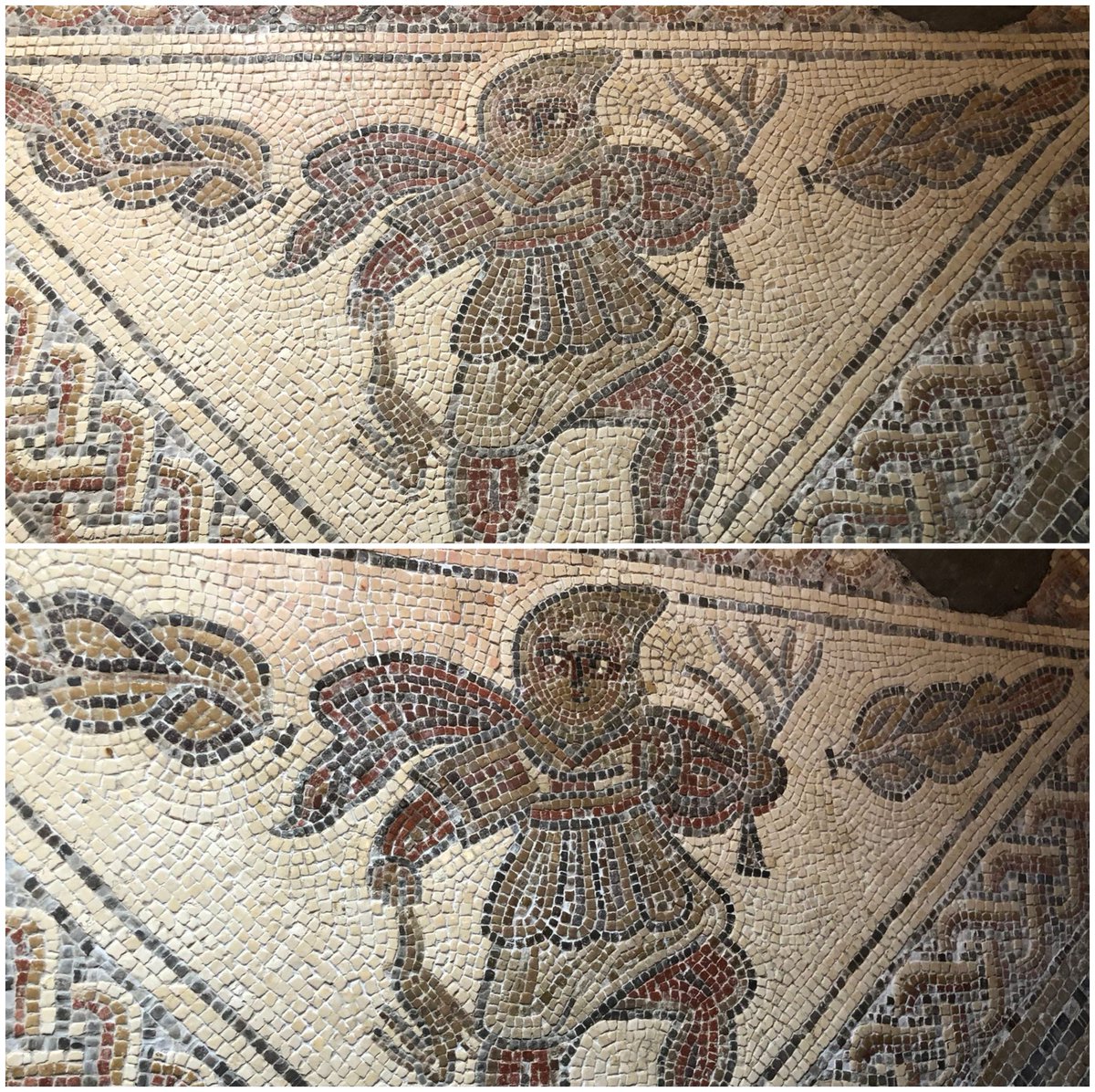 Before & after - Our mascot 'Winter' has been cleaned. Look at how the colours pop. We love the whites & reds in particular #mosaic #mosaicmonday Thank you to all staff & volunteers who helped out during the #FestivalOfArchaeology @NatTrustArch @nationaltrust @NTSouthWest