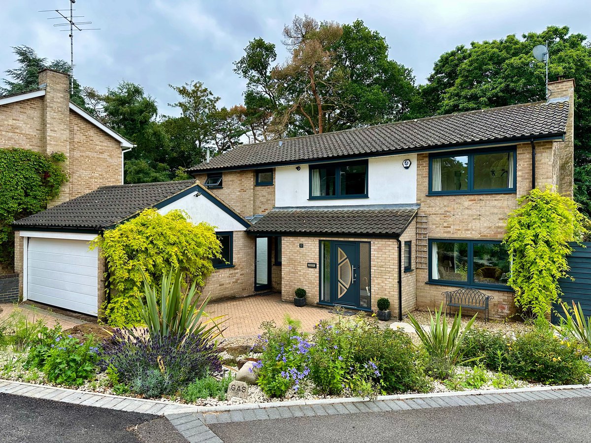 C. Rose Cleaning tweet media