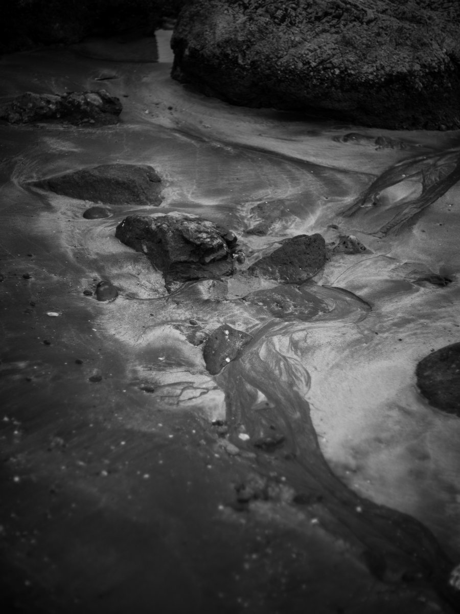 harryfurusato's tweet photo. Streams.
流れ。

#photography #blackandwhitephotography https://t.co/woqWDxqjMF