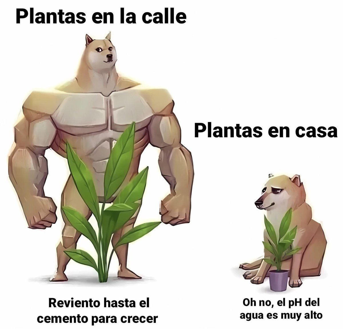 Enséñame de Ciencia tweet media
