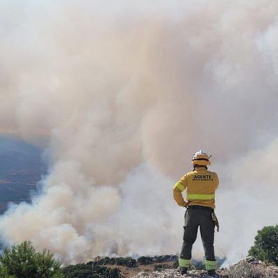 GaloisioA's tweet image. Muchas felicidades a los que siempre están. 
A los que siempre llegan primeros. 
A los que saben y enseñan. 
Felicidades a los amigos de los animales y de los bosques. 
Hoy y siempre, a tantos amigos que me llevo ¡Bravo Rangers!
@AAMM_And @ACEFOA 
#DíaMundialAgentesMedioAmbiente