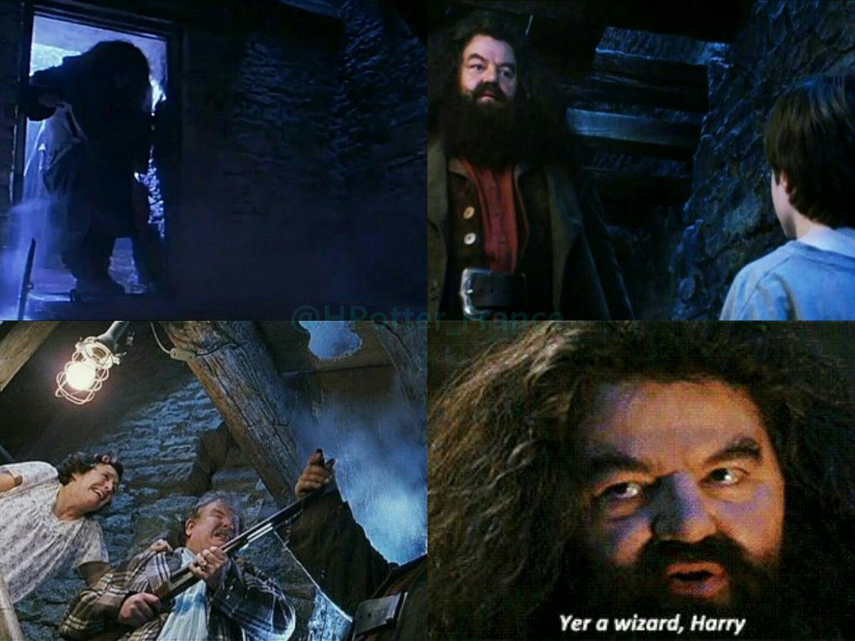 31 Juillet 1991 : A minuit, Rubeus Hagrid remet la lettre de Poudlard à Harry pour ses 11 ans.