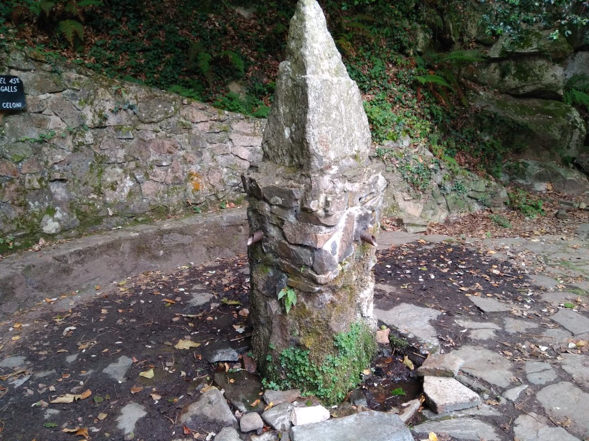 Burriach's tweet photo. Font de les Nàiades al #Montseny, inclosa al seguiment del #ProjecteFonts (@SerrLitCen, @ICHN_IEC), aquest estiu seca per primer cop en molts i molts anys. La comunitat briofítica patirà canvis importants. Esperem que plogui i que revingui ben aviat. https://t.co/W5VpSColTD
