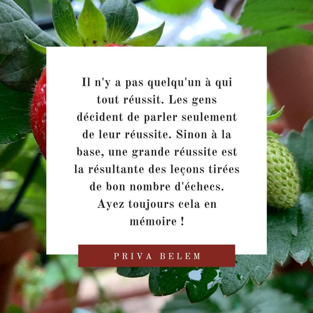 Priva Belem tweet media
