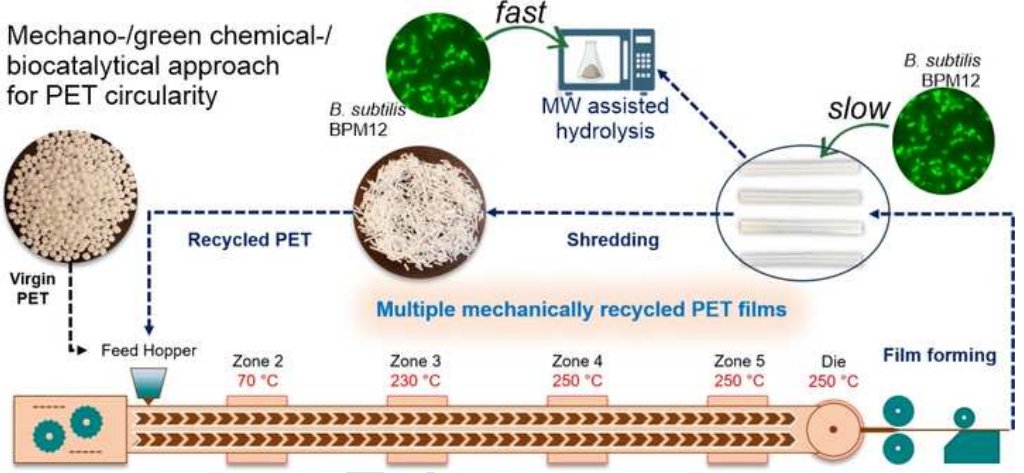 New #OpenAccess paper in press <a href="/EnvironTecInnov/">Environmental Technology & Innovation</a>: multidimensional approach exploring the catalytic activity of 𝐵𝑎𝑐𝑖𝑙𝑙𝑢𝑠 𝑠𝑢𝑏𝑡𝑖𝑙𝑖𝑠 #BPM12🦠for PET circularity ♻ 

Great collaborative effort led by Brana Pantelic and funded by @BioICEP_H2020 doi.org/10.1016/j.eti.…