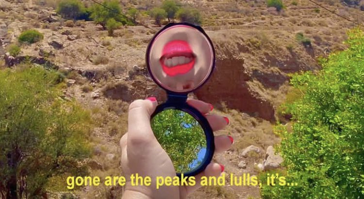 Body Type tweet media