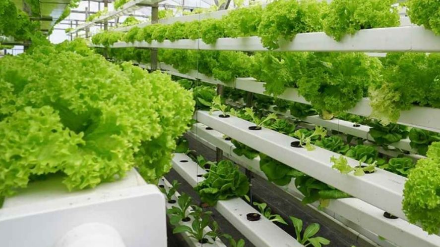 AI Directions tweet media