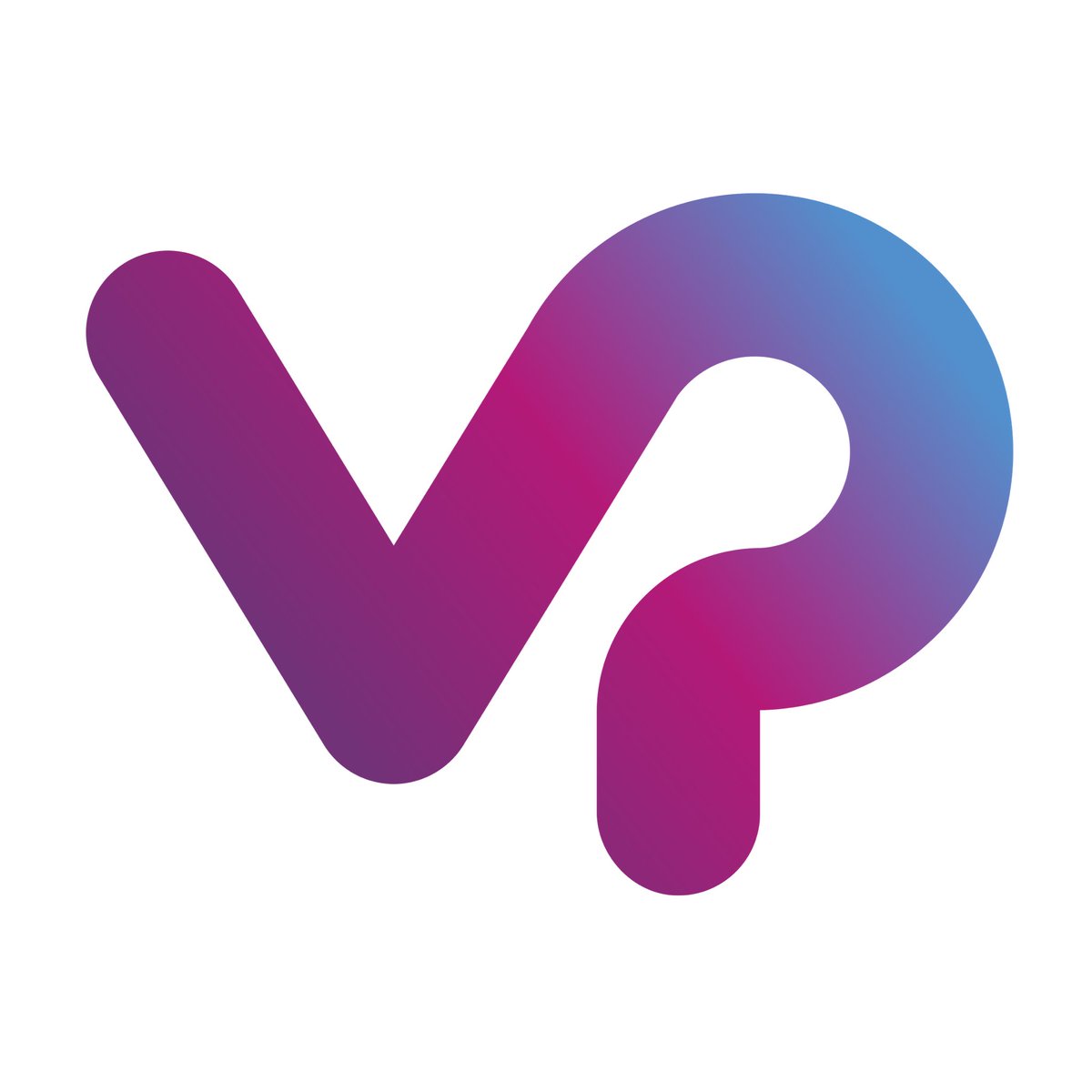 vidipass.com