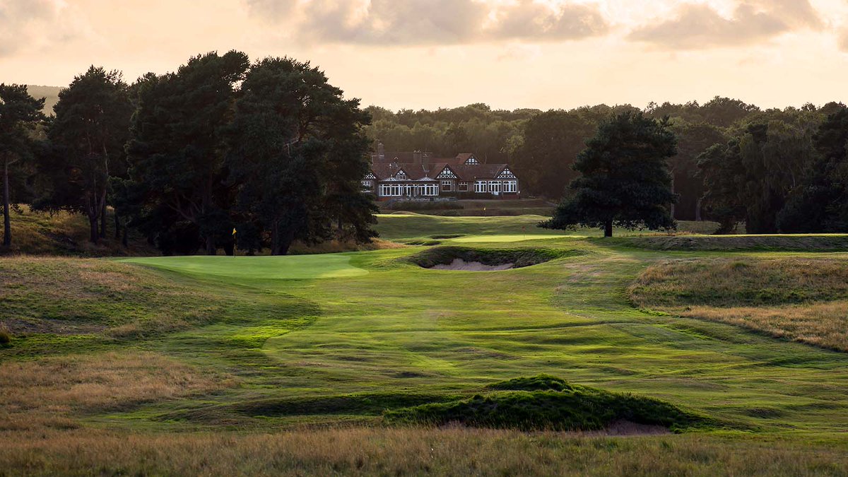 Linksnet - Your game, your network tweet media