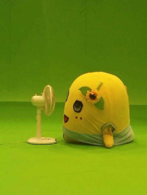 funassyi's tweet photo. ��ぁ〜涼しいなっし〜(。゜▽゜) https://t.co/BJqfng9V78
