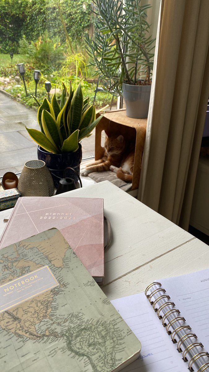 Lekker aan het werk met de kat op de achtergrond 💻🐈