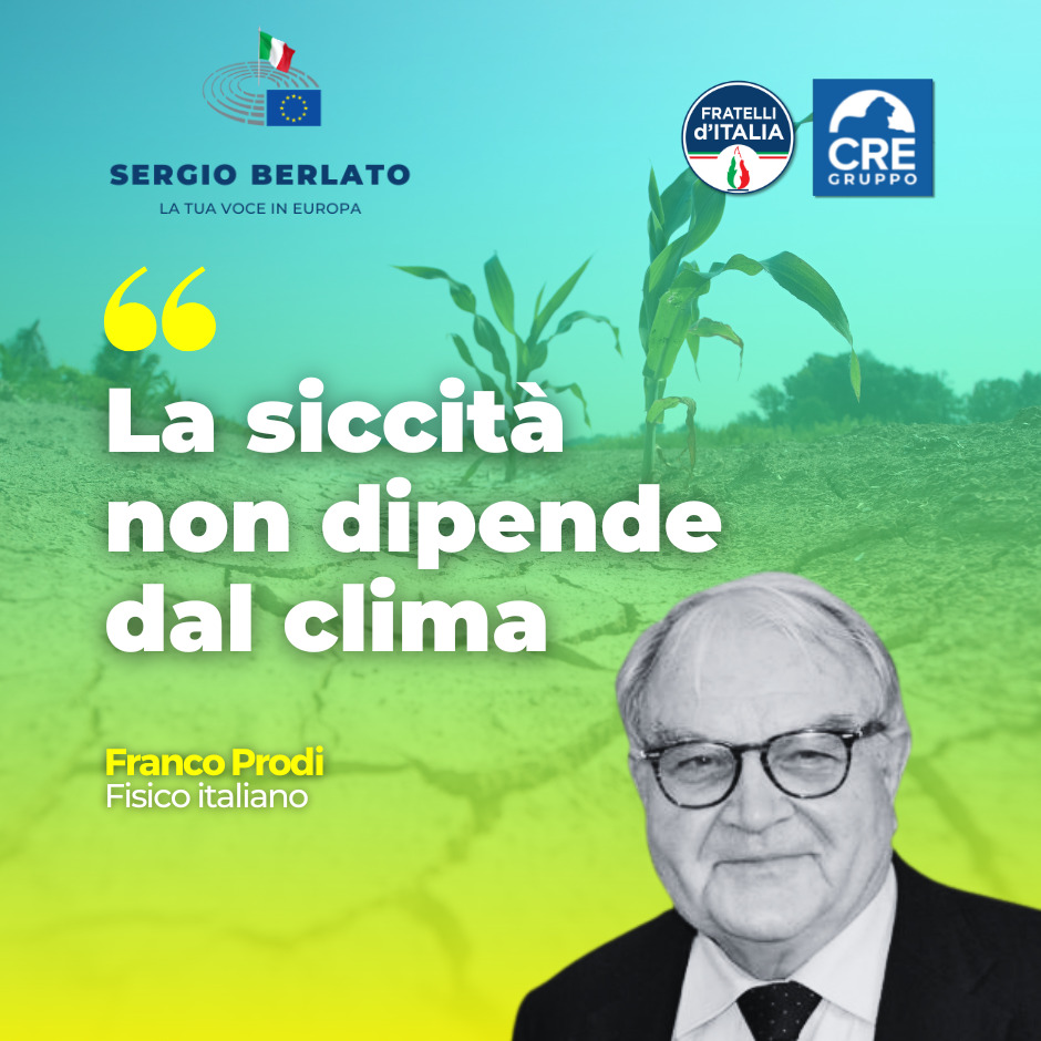 Sergio Berlato tweet media