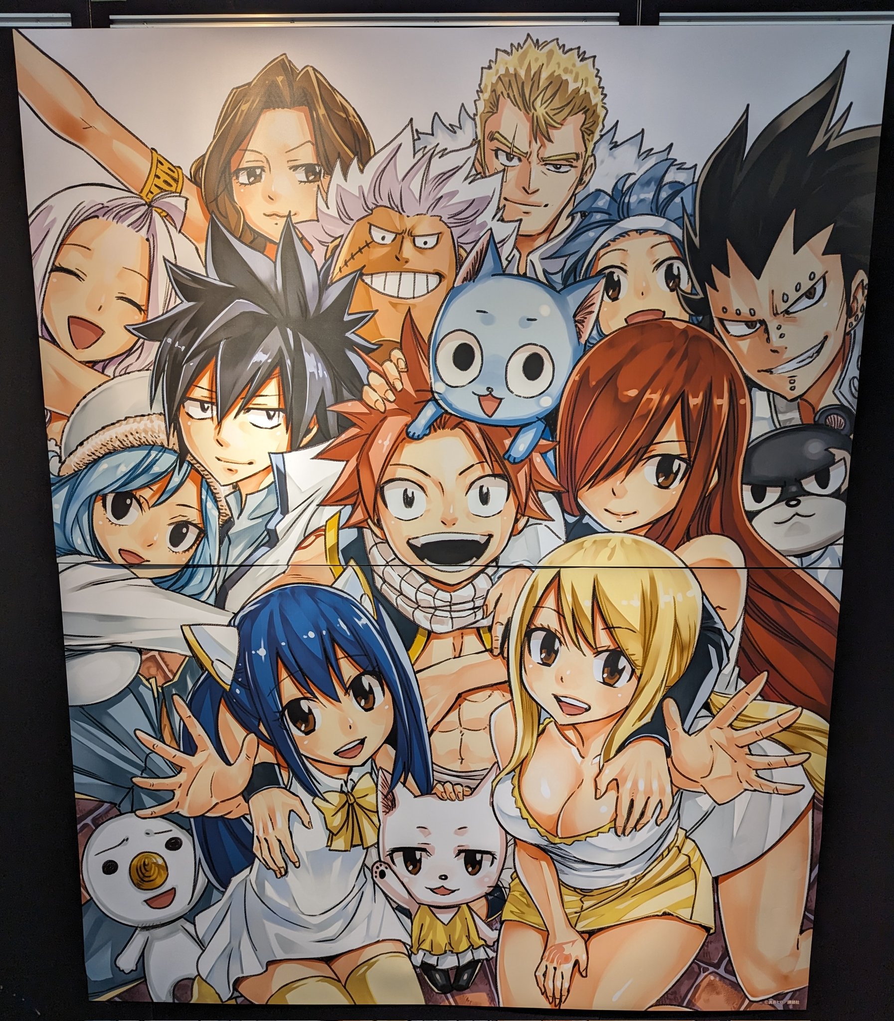 FAIRY TAIL フェアリーテイル　キャンバスアート　版画展　講談社 FAIRY TAIL フェアリーテイル キャンバスアート 版画展 講談社