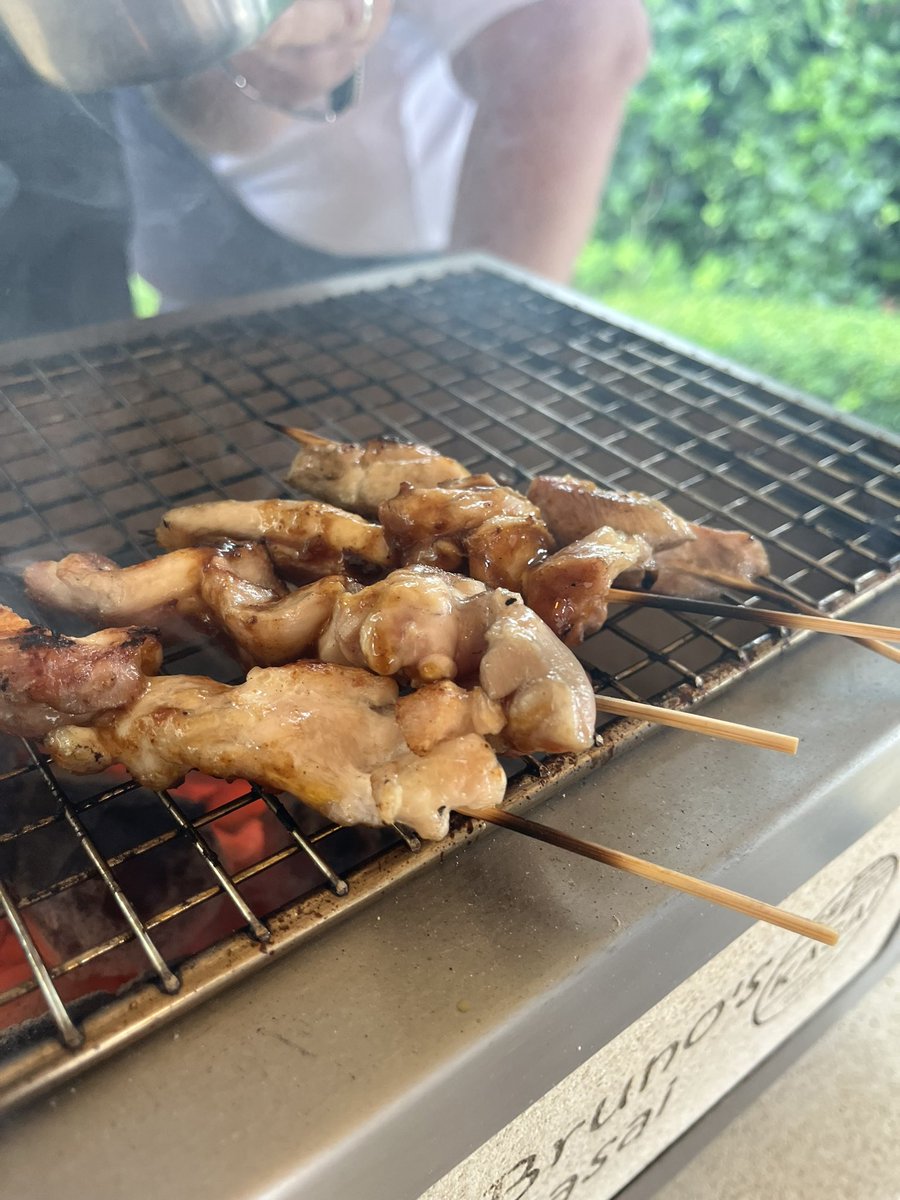 Chicken kebabs statay <a href="/YuCopster/">Yu Copster Green</a> <a href="/sousvidetools/">sousvidetools.com</a>