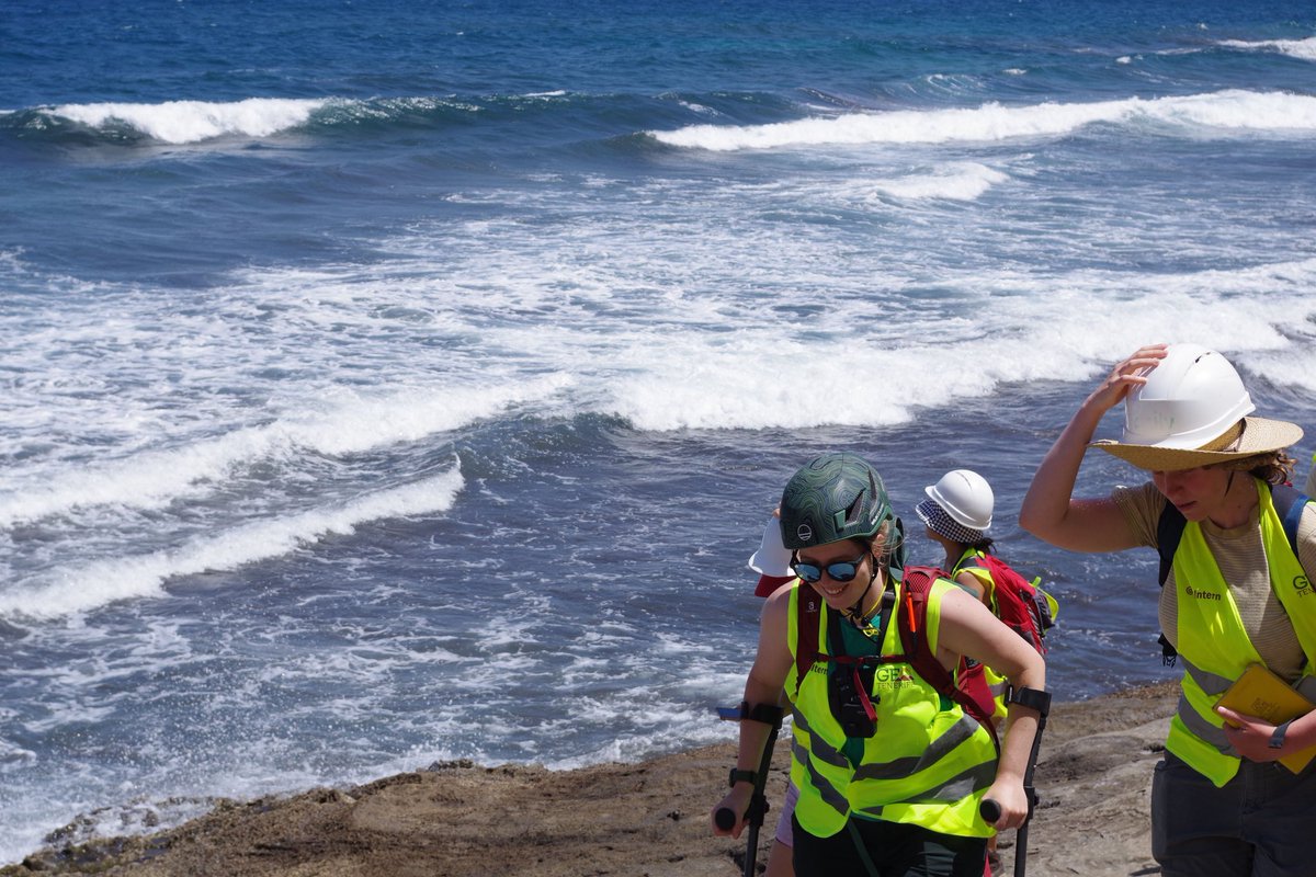 Frankie Butler tweet media