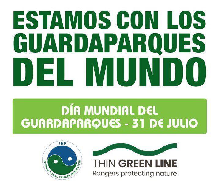 AAMM Torrejón Ardoz tweet media