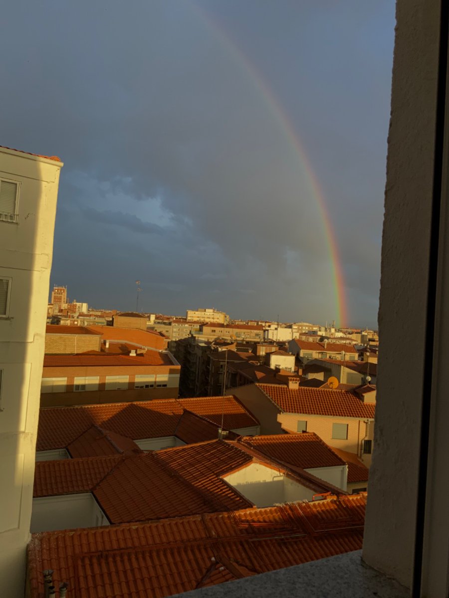 carolgohe_ tweet picture