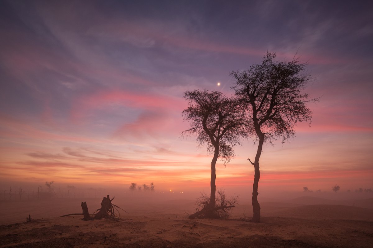 light_artists's tweet photo. Gm Monday☕️

Misty Sharjah Desert by @danyeid 

#alphacollection2022 https://t.co/AABhVroQRF