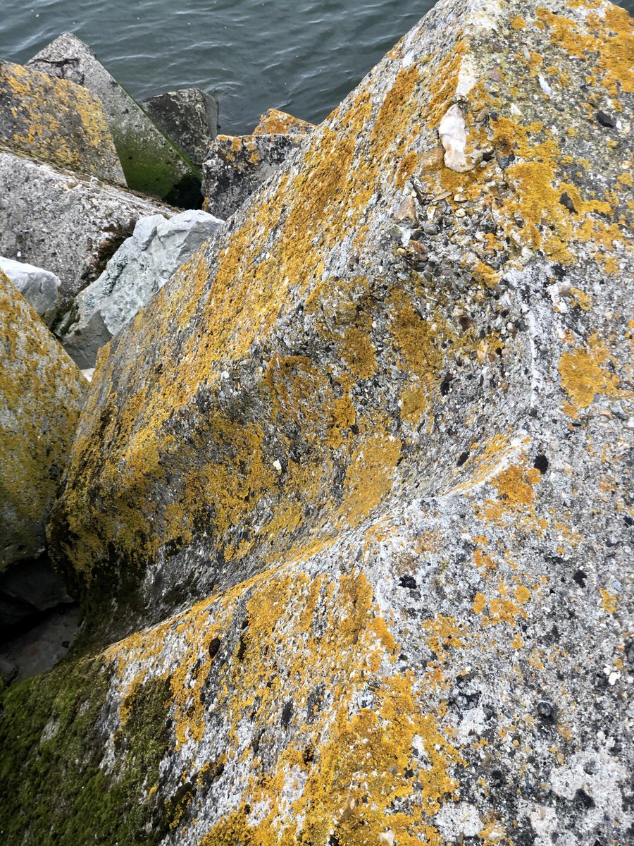 LHsansfiltre's tweet photo. Blocs géants de la digue de Saint Jouin Bruneval
Shootés rapidement avant une averse 😭☔️💦 #summer2023💦
#béton #digue #beton #enrochement #blocs #port #normandie #caillouxgéants #portartificiel #haropa https://t.co/wd3RtVv0mE