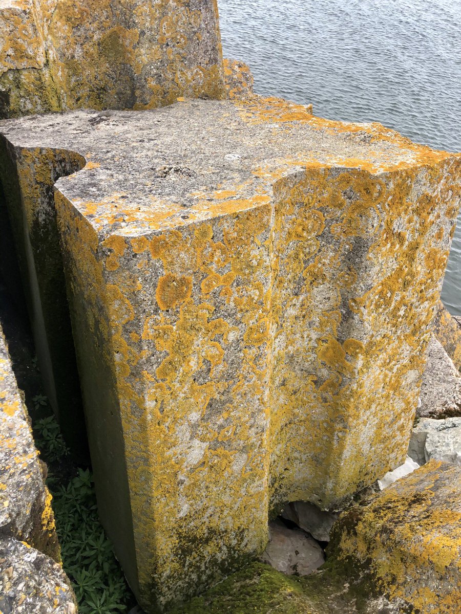 LHsansfiltre's tweet photo. Blocs géants de la digue de Saint Jouin Bruneval
Shootés rapidement avant une averse 😭☔️💦 #summer2023💦
#béton #digue #beton #enrochement #blocs #port #normandie #caillouxgéants #portartificiel #haropa https://t.co/wd3RtVv0mE