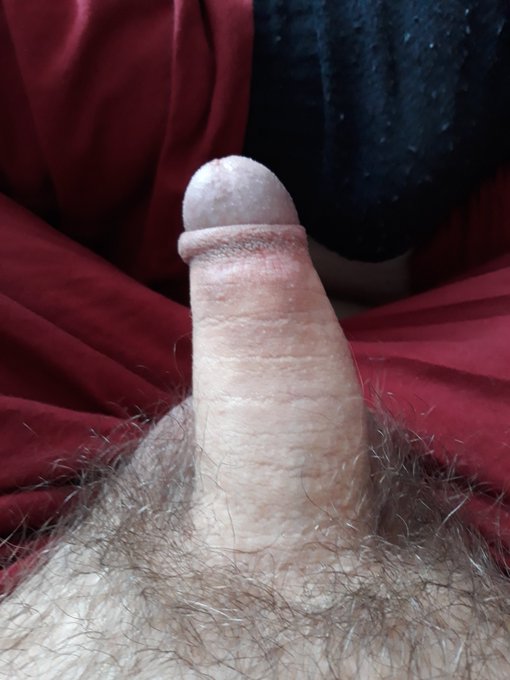 Thebavarianone1 - @PupW0lfy https://t.co/rOUe3YBzpD