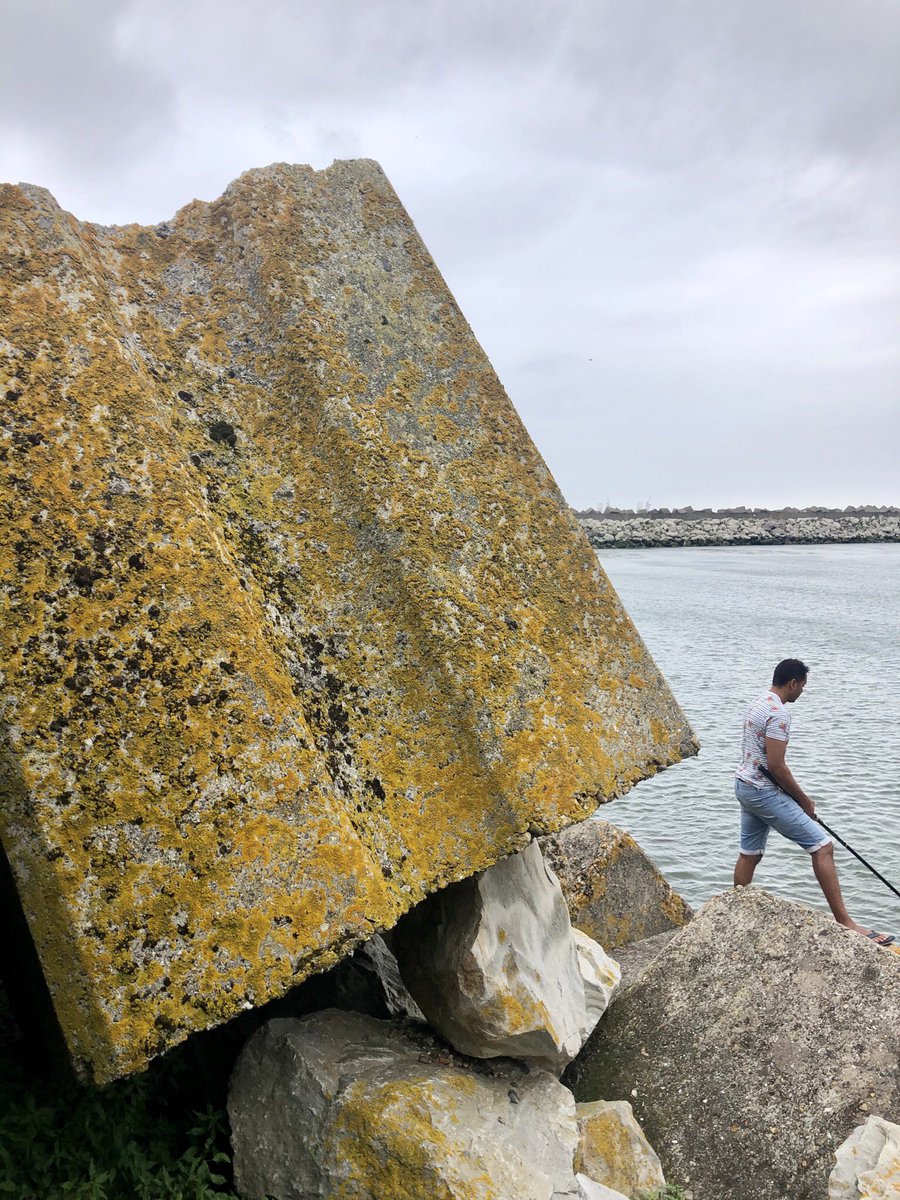 LHsansfiltre's tweet photo. Blocs géants de la digue de Saint Jouin Bruneval
Spot de pêche Shootés rapidement avant une averse 😭☔️💦 #summer2023💦
Echelle système D #normand 😭💪👏
Balade kool avec Céline
#béton #digue #beton #enrochement #blocs #port #normandie #caillouxgéants #portartificiel #haropa https://t.co/A2h3S9bepX