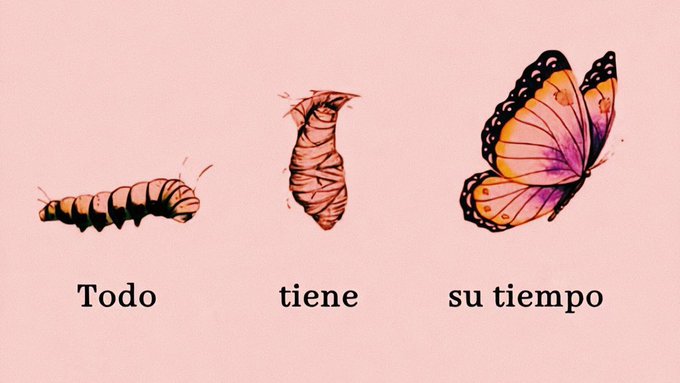 Cultura Literal (@culturaliteral1) on Twitter photo 