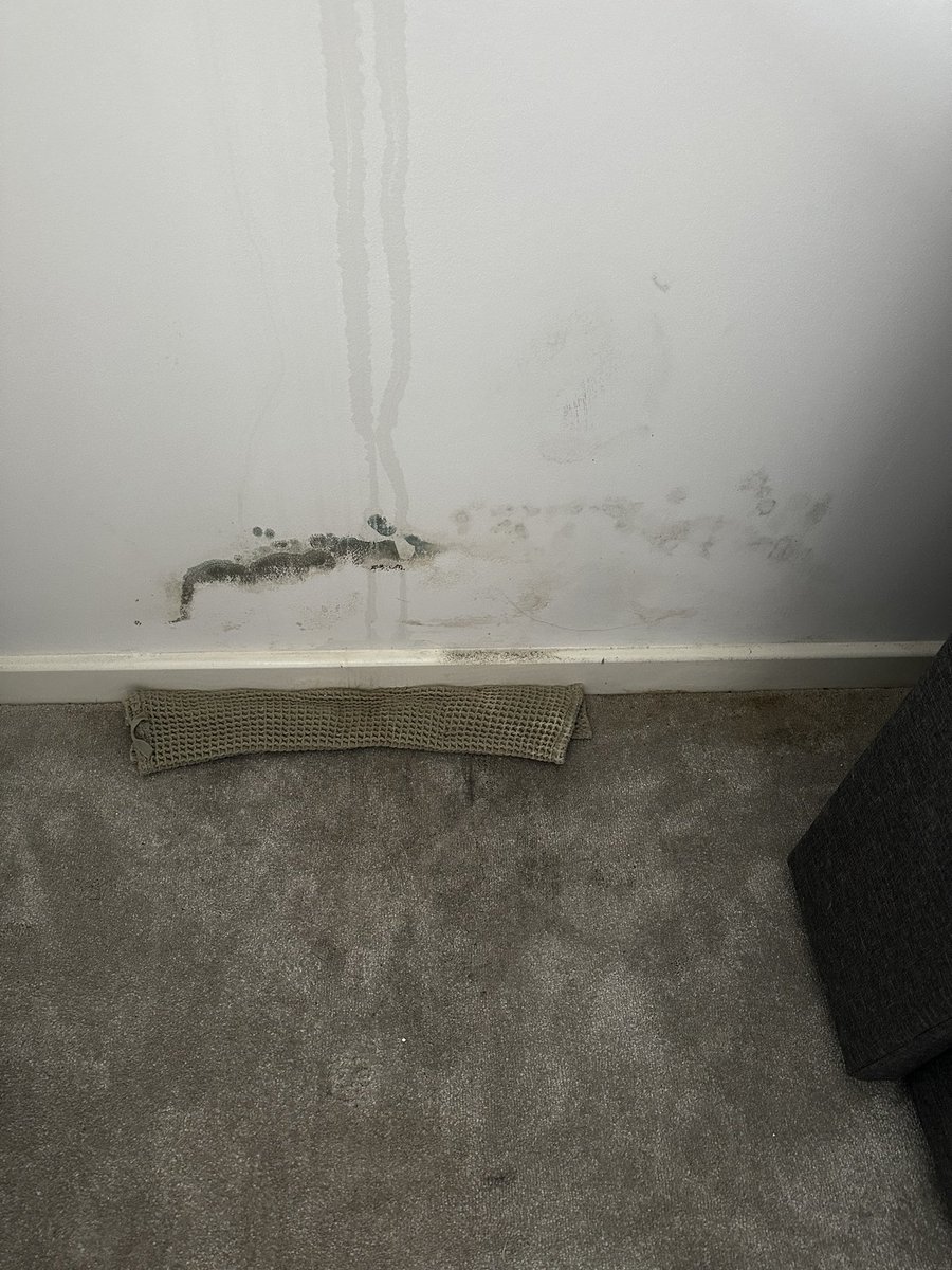 Hayleigh tweet media