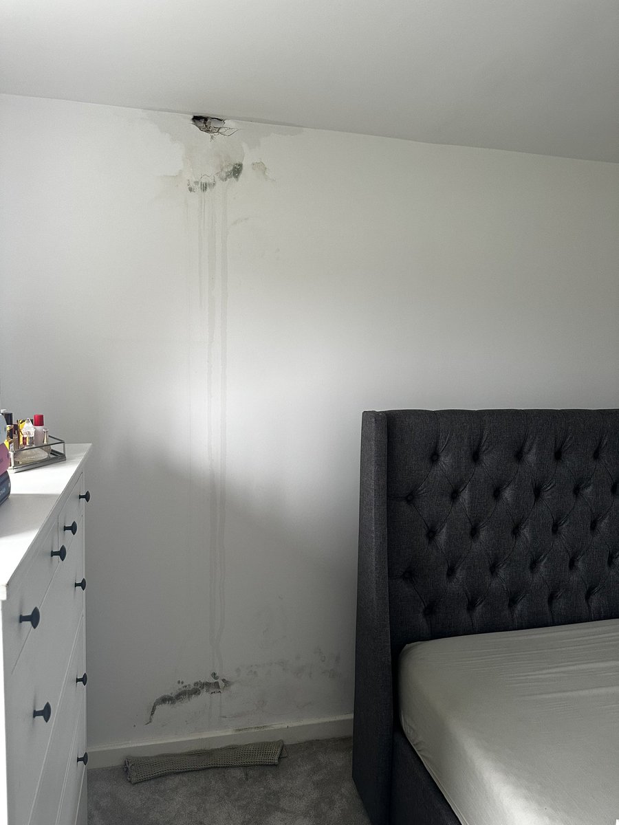 Hayleigh tweet media