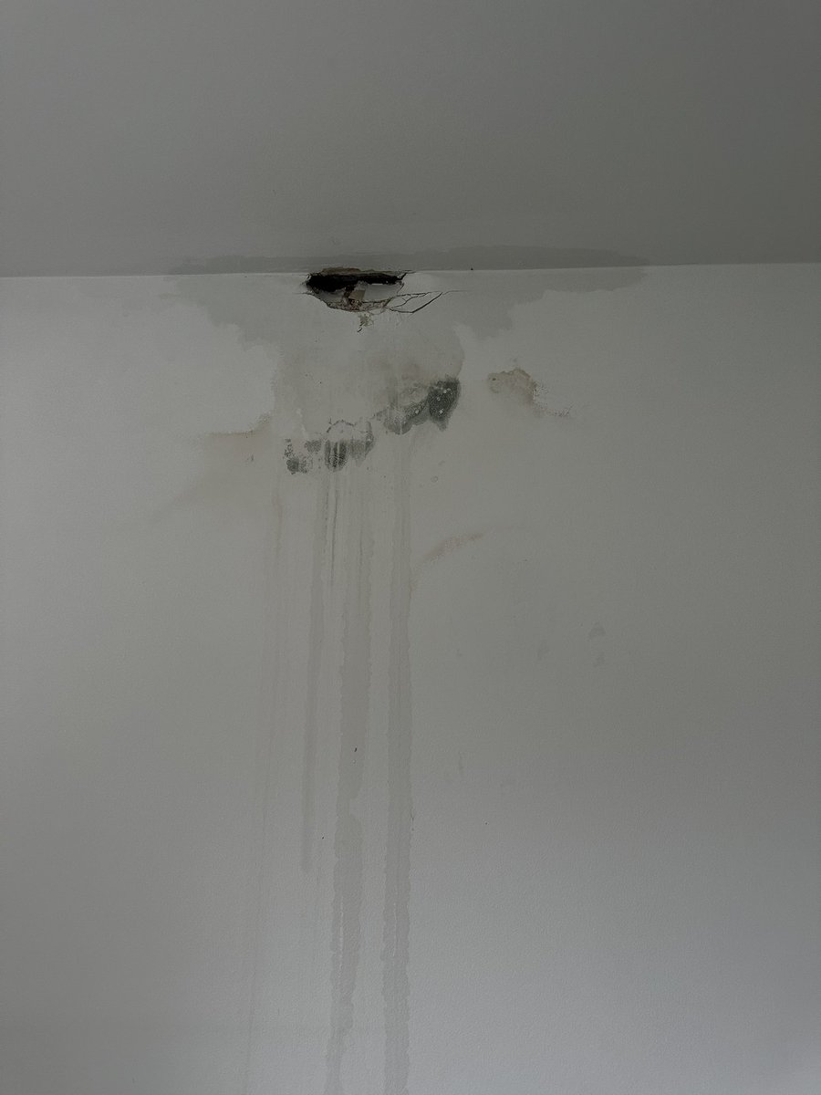 Hayleigh tweet media