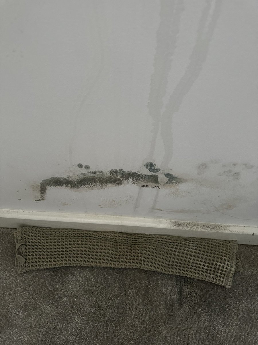 Hayleigh tweet media