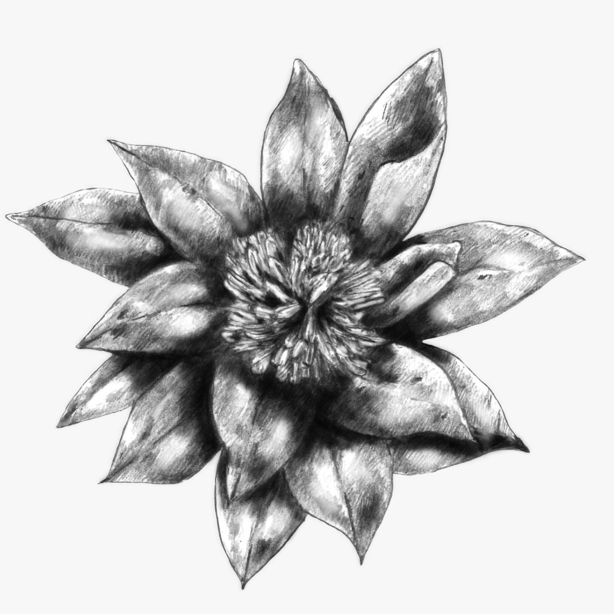 brundle_42's tweet photo. A last game jam before summer break (@myfirstgamejam)
🌸 I'm testing a different game engine, a different genre and a different rôle in the team 😱 really happy to team up with @nidstang_std and @symoneforever 🌱 https://t.co/CK9Oa9zPvS