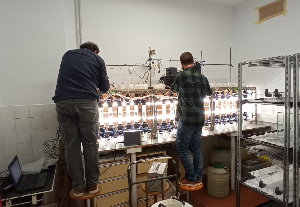 Burriach's tweet photo. ++ JOB ALERT ++ 
PhD student positions to join the
@ERC_Research #StG @STOIKOS_ERC at @CREAF_ecologia in #Barcelona: 5 different lines of research to join us!  https://t.co/Ragbv0WSbc
Apply until 30-September (extended). Please RT! https://t.co/2WIhCW5Niw
