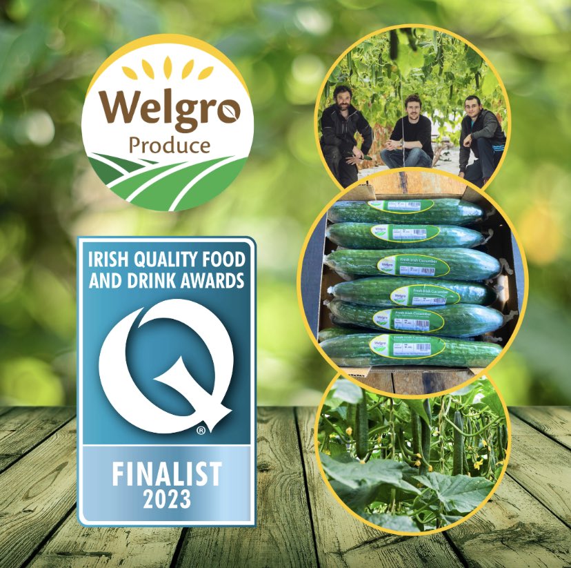 We're delighted to announce that we have been selected as a finalist for this year's Irish Quality Food and Drink Awards! 😁🥒 <a href="/IrishQFAs/">IrishQFAs</a> #qualityfood #irishgrown #buylocal