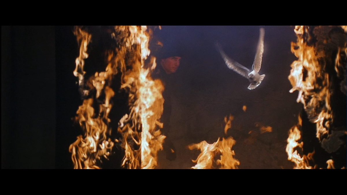 Pascal_Aime_Y's tweet photo. @autumnnations @primevideosport John Woo perfect shot https://t.co/vnwYaGzUNu