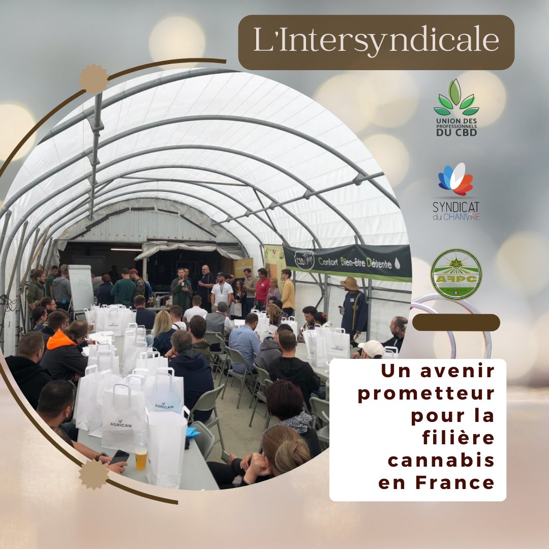 UPCBDfr's tweet image. Quelque chose de grandiose est en train de se préparer 🌱🌱

#upcbd #spc #afpc #intersyndicale #FilièreCannabis #Professionnalisation #DéveloppementDurable #AvenirPrometteur 🌿